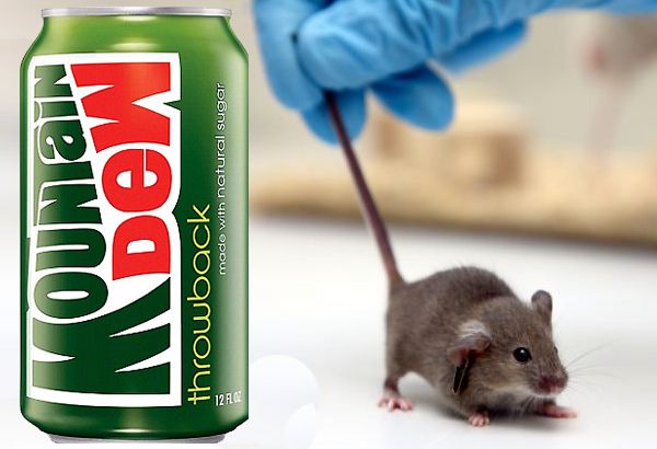 5 Temuan Paling Aneh dalam Makanan Ini Bikin Geli dan Ngeri!