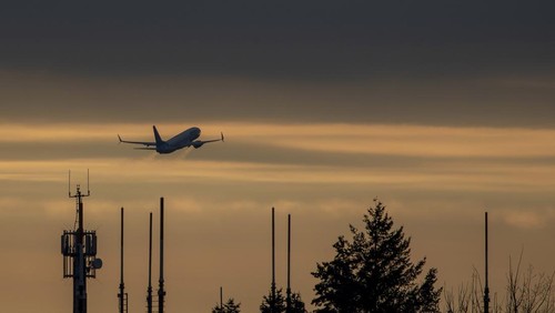 Ilustrasi / Arti Deportasi menurut KBBI dan UU