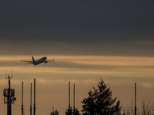 Ilustrasi / Arti Deportasi menurut KBBI dan UU