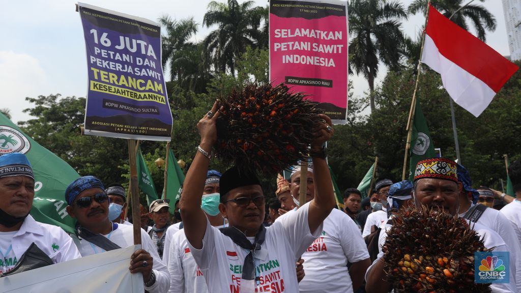 Asosiasi Petani Kelapa Sawit Indonesia (APKASINDO) melakukan aksi unjuk rasa di kawasan Patung Kuda, Jakarta, Selasa, (17/5/2022). (CNBC Indonesia/Andrean Kristianto)