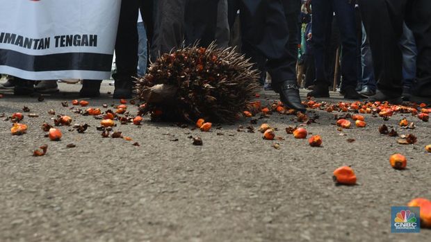 Asosiasi Petani Kelapa Sawit Indonesia (APKASINDO) melakukan aksi unjuk rasa di kawasan Patung Kuda, Jakarta, Selasa, (17/5/2022). (CNBC Indonesia/Andrean Kristianto)