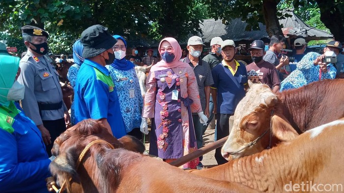 Bupati Klaten Sri Mulyani melihat langsung ternak di Pasar Hewan Prambanan, Selasa (17/5/2022).