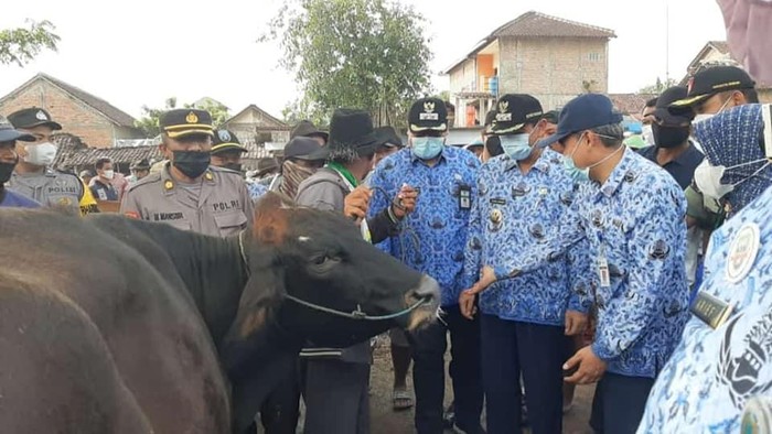 Bupati Rembang Abdul Hafidz dan Wakil Bupati M Hanies Cholil Barro sidak ke Pasar Hewan di Kecamatan Pamotan, Selasa (17/5/2022).