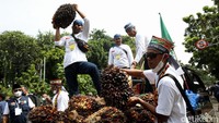 Dalam aksinya, para petani tampak membawa buah sawit.
