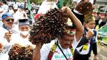 Geruduk Kantor Menko Perekonomian, Petani Ramai-ramai Bawa Buah Sawit