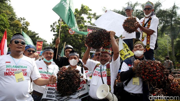 Massa yang tergabung dalam Asosiasi Petani Kelapa Sawit Indonesia gelar aksi unjuk rasa di depan kantor Menko Perekonomian. Mereka memprotes larangan ekspor CPO
