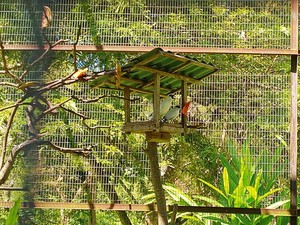 Menjelajah Taman Wisata Bali Barat Sambil Nikmati Pesona Satwa Endemik