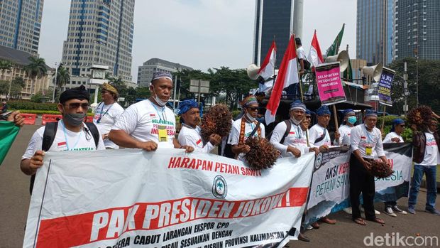 Massa yang tergabung dalam Asosiasi Petani Kelapa Sawit Indonesia (Apkasindo) mendatangi kawasan Patung Kuda untuk menyikapi larangan ekspor minyak goreng. (Anggi M/detikcom)