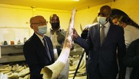 Taman Nasional Zimbabwe dan Otoritas Pengelolaan Margasatwa mengundang duta besar dari negara-negara Uni Eropa untuk melihat persediaan gading gajah untuk menekan pelarangan penjualan gading gajah oleh CITES, badan internasional yang memantau spesies yang terancam punah.