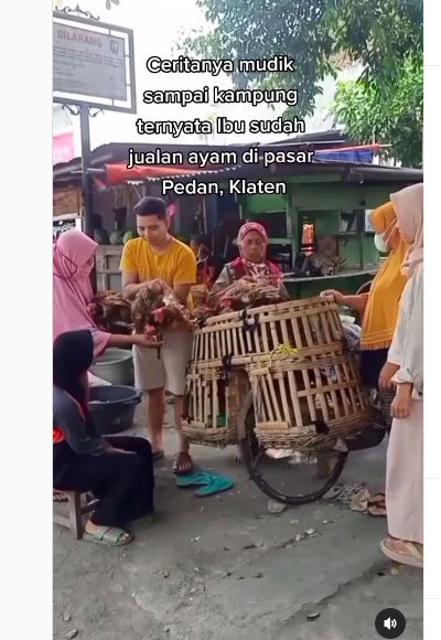 Pilot bantu ibu jualan ayam di pasar