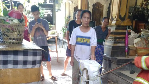 Ular sawah yang diamankan petugas usai membuat warga panik akibat masuk pekarangan rumah