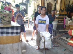 Warga Karangasem Heboh, Ular Sepanjang 1.5 Meter Masuk Rumah