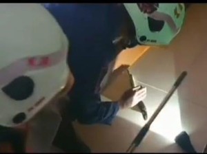 Saat Aksi Petugas PMK Tangkap Ular di Surabaya Berakhir dengan Gelak Tawa
