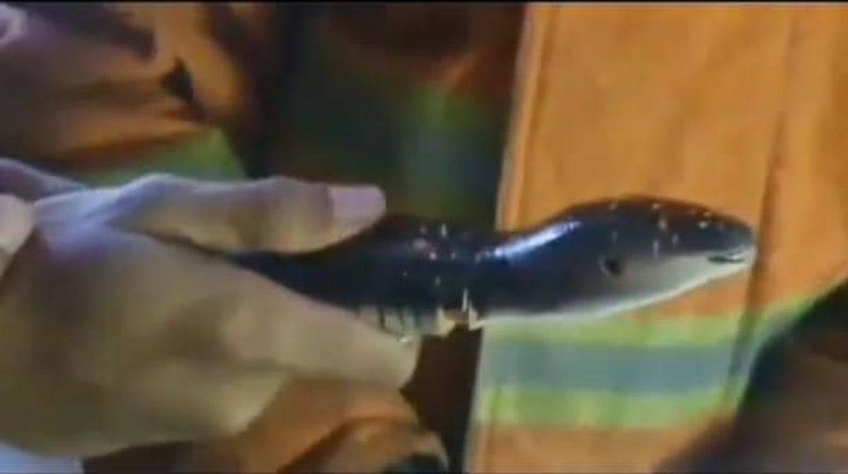 Ukraina uy qurilishi porno 60 yoshlilar uchun jinsiy aloqa