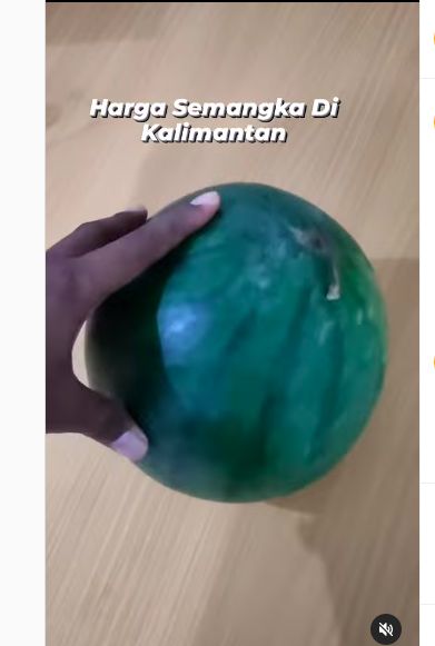 Harga buah semangka di Kalimantan