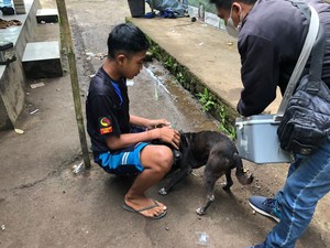 Rabies Mengganas di Jembrana hingga Polisi Ditembak Bandar Narkoba