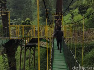 Jadi Lokasi Syuting KKN di Desa Penari, Jembatan Plunyon Ramai Wisatawan