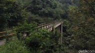 Melihat Jembatan Plunyon, Lokasi Syuting KKN di Desa Penari