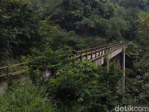 KKN di Desa Penari, Film Indonesia Terlaris yang Lokasi Syutingnya di Jogja