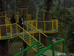 Ramai Lokasi Syuting KKN di Desa Penari-Petani Sawit Menjerit