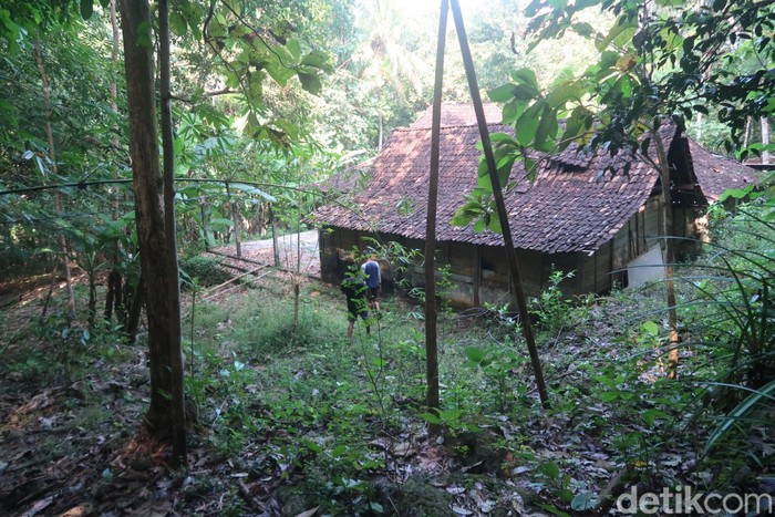 Lokasi syuting KKN di Desa Penari di Playen, Gunungkidul, Rabu (18/5/2022).