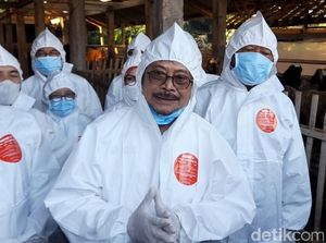 Mentan Syahrul Tinjau 2 Sapi Positif PMK di Sumedang, Ini Hasilnya