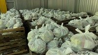Setiap harinya, para relawan melakukan pengemasan dan pengiriman makanan berupa sayuran dan buah-buahan.