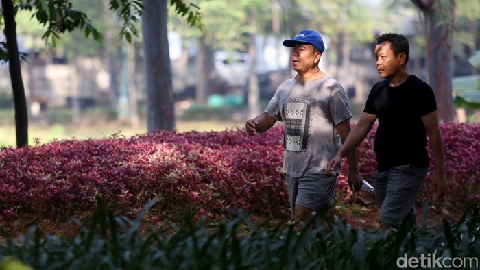 Potret Warga Jakarta Wara-wiri Tak Pakai Masker di Ruang Terbuka Presiden Joko Widodo melonggarkan kebijakan penggunaan masker di ruang terbuka. Aturan itu diterapkan karena kasus COVID-19 di Indonesia dinilai semakin membaik