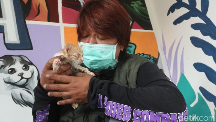 Sang Penyelamat Kucing dan Driver Ojol itu Bernama Bu Menon Sang Penyelamat Kucing dan Driver Ojol itu Bernama Bu Menon