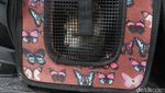 Sang Penyelamat Kucing dan Driver Ojol itu Bernama Bu Menon