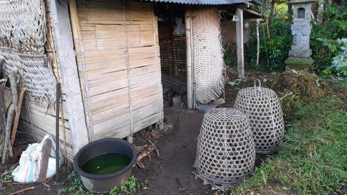 Suasana gubuk salah satu warga Banjar Mijil, Sidemen, Karangasem yang menjadi korban maling.