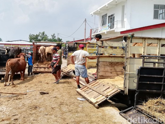 Suasana Pasar Hewan Kaliyoso, Boyolali, Rabu (18/5/2022).