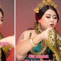 Begini ketakutan Clarissa Putri ketika berinteraksi dengan ular. Beberapa kali syutingnya dihentikan karena ular tersebut bergerak ke berbagai arah. Foto: Instagram @clarissaputri