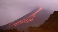 Diberitakan sebelumnya Gunung Merapi meluncurkan awan panas guguran pada dini hari tadi.  