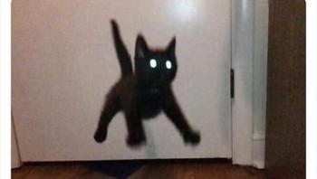 Lompatan super! Foto: Animals Going Goblin Mode