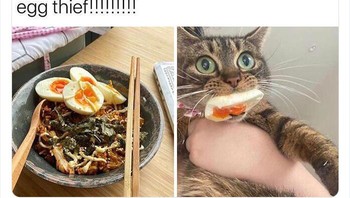 Ada pencuri telur! Foto: Animals Going Goblin Mode
