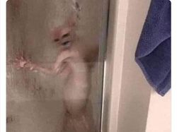 10 Kelakuan Absurd Hewan Peliharaan yang Kocak Banget