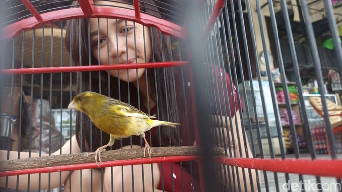 Nonik Indah Puspita Sari, warga Grobogan penjual pakan burung yang viral di medsos, Kamis (19/5/2022).