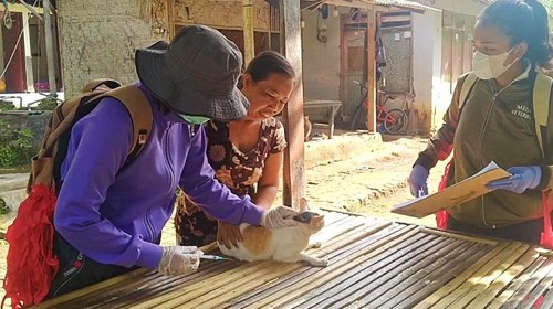 Petugas melakukan vaksinasi darurat di seputaran rumah balita korban suspek rabies di Desa Banyubiru, Kecamatan Negara, Jembatan Bali, Rabu (18/5/2022) (I Ketut Suardika)