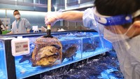 Pasar sayuran juga kembali dibuka dengan kapasitas terbatas. (Photo by Zhang Hengwei/China News Service via Getty Images).
