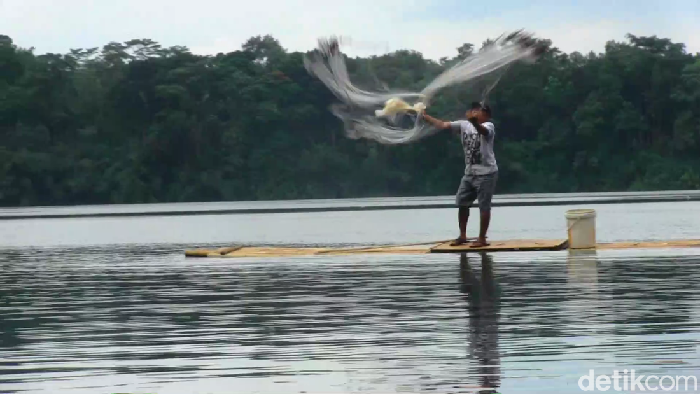 Salah seorang nelayan menebar jala di Danau Ranu Pakis Lumajang