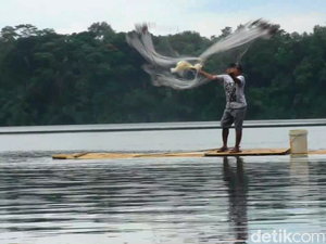 Viral Ikan Raksasa di Ranu Pakis Lumajang, Ini Penjelasan Sebenarnya