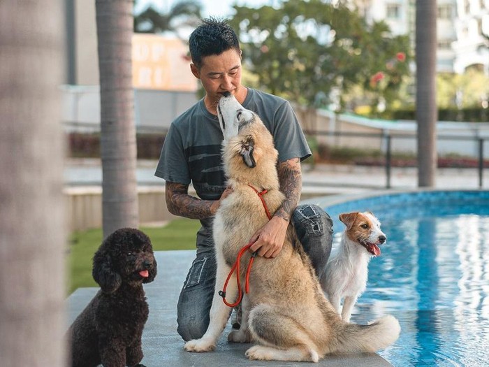 Social Dog Social Dog