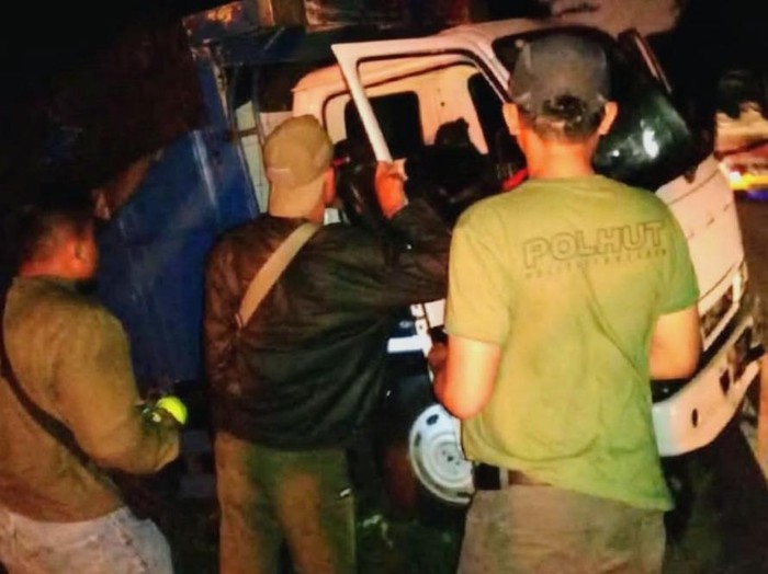 Polhut Taman Nasional Baluran (TNB) Situbondo menggagalkan pencurian kayu jati. Sebanyak 33 kayu jati gelondongan berbagai ukuran diamankan.