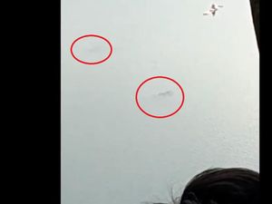 Aksi Ikan Raksasa di Lumajang Viral Disebut Penunggu Danau Ranu Pakis