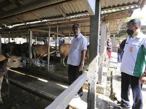 Antisipasi PMK, Wabup Klungkung Tinjau Kelompok Ternak Satwa Winangun