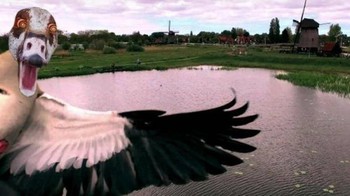 Drone terbang disergap burung, pilotnya auto kaget sih. Apalagi kalau lihat fotonya begini. Dok. Boredpanda