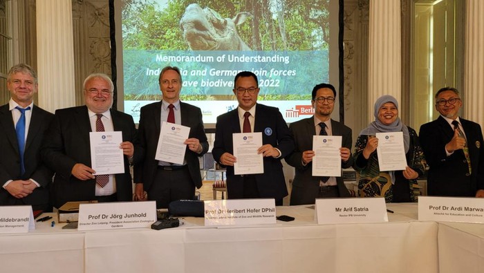 IPB University Gandeng Jerman Kembangkan Teknologi Atasi Kepunahan Badak


Baca artikel detikedu, IPB University Gandeng Jerman Kembangkan Teknologi Atasi Kepunahan Badak selengkapnya https://www.detik.com/edu/perguruan-tinggi/d-6087535/ipb-university-gandeng-jerman-kembangkan-teknologi-atasi-kepunahan-badak.

Download Apps Detikcom Sekarang https://apps.detik.com/detik/