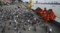 Biksu Buddha Kamboja melempar biji jagung untuk memberi makan burung-burung di depan Istana Kerajaan, di Phnom Penh, Kamboja, Jumat 20 Mei 2022.