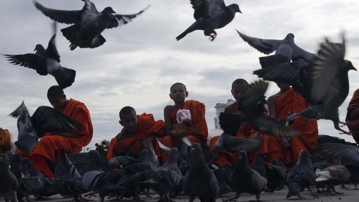 Ketika Biksu Cilik Memberi Makan Merpati Cambodian Buddhist monks throw corn seeds to feed the birds in front of the Royal Palace, in Phnom Penh, Cambodia, Friday, May 20, 2022. (AP photo/Heng Sinith)
